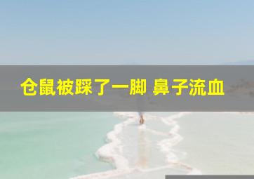 仓鼠被踩了一脚 鼻子流血